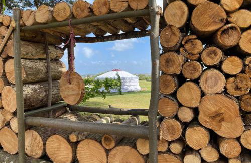 Les Logis de Kerdrien - Foto 2