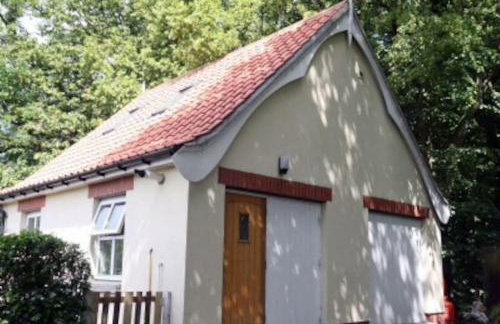 The Tree House - Foto 1