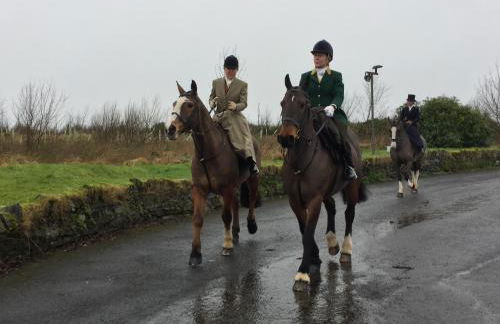 Finn Cottage - Foto 27