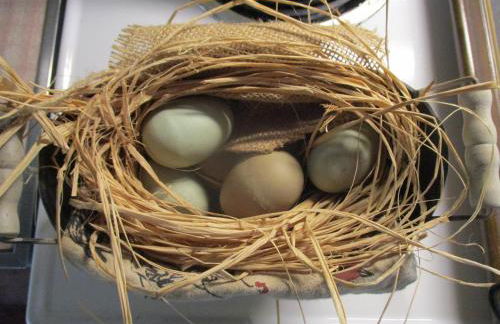 Historic cabin off I-77, views, antiques, Wi-fi, wonderful experience for 2! - Foto 45