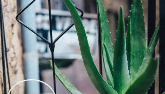 Número 8 a Traditional Basque Village Homestead - Photo 2