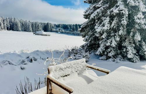 Tiny Chalet Stuga Am Rennsteig mit Kamin und Garten, Hunde Willkommen - Foto 9