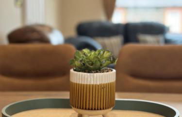 Friels Terrace - Foto 7