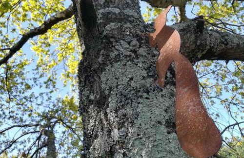 Casa das Palmeiras - Pedagogic Farm - Foto 108