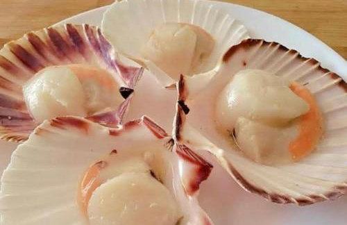 Alugo barco intermarine 440 - Foto 3