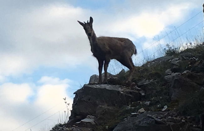 Casas de Montaña Alto Curueño - Photo 52