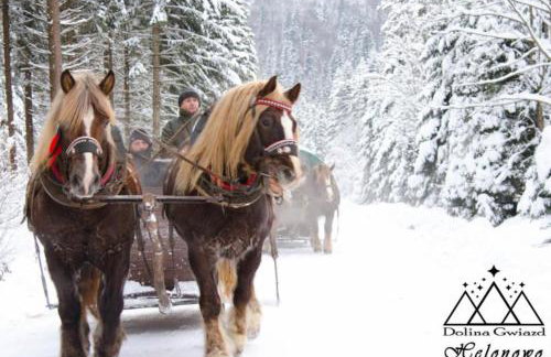 Dolina Gwiazd - Foto 34