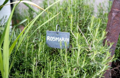 Bauernhof Sackgut - Foto 17