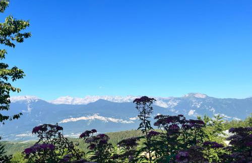 Ciasa Erica - Val di Non - Foto 33