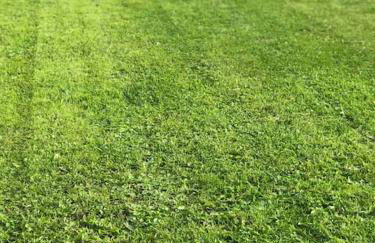 Charming 3 bedroom house with a warmth character - Photo 27