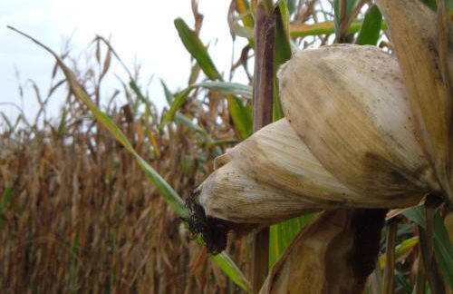 Agriturismo Fior Di Campo - Foto 76