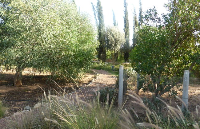 Le Jardin aux Etoiles - Foto 46