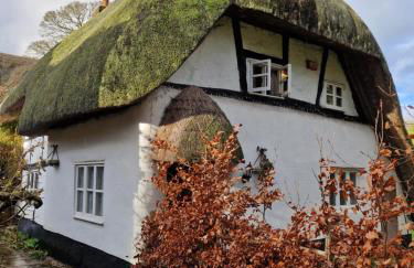 Delightful 3bed thatched Cottage - Foto 15