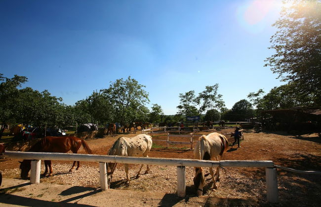 Villa Nada Flores - Foto 34