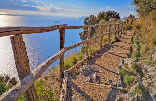 Tenuta Novecento Bio Agriturismo - Foto 136