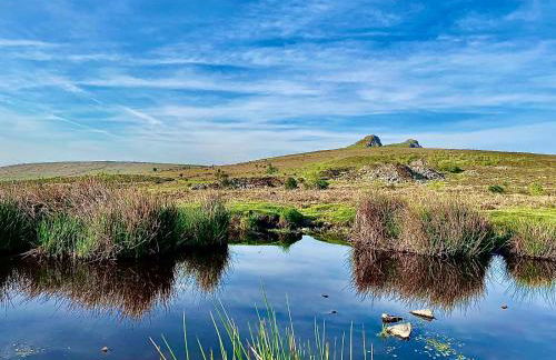 Haytor Court, Haytor, Dartmoor - The Moor on Your Doorstep - Foto 39