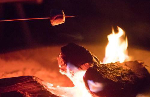 Damson Pod at Mulino Pods - Foto 10