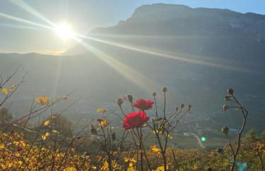 Agritur Chalet Belvedere - Foto 6