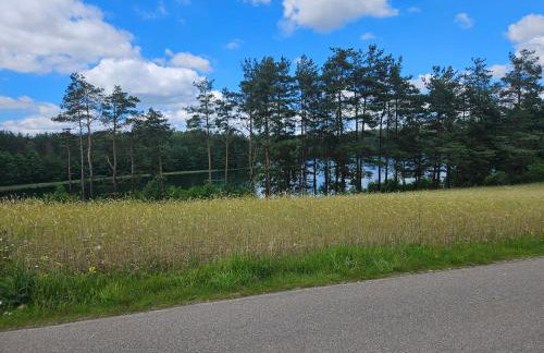 Leśne Wspomnienia - Foto 36