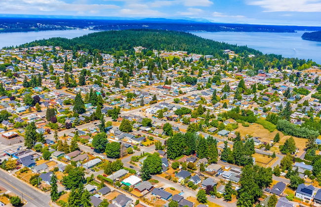 Bodur's Nest Whispering Garden - Foto 32