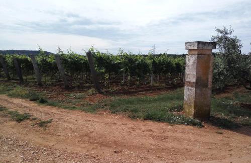 Apartment Asparagus - Photo 35