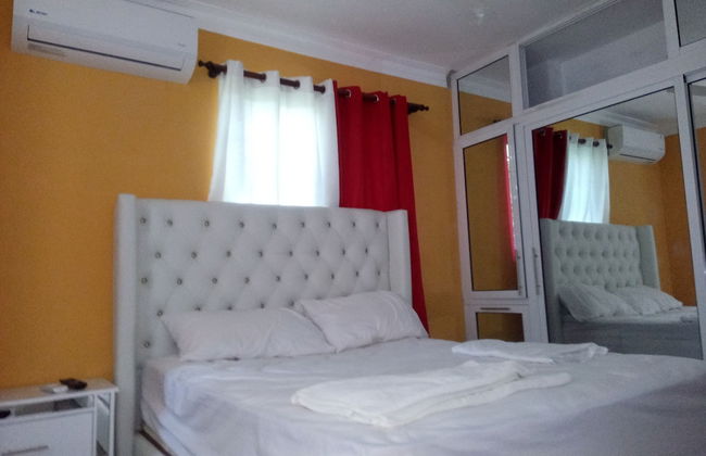 Estudio Vegano - Foto 14