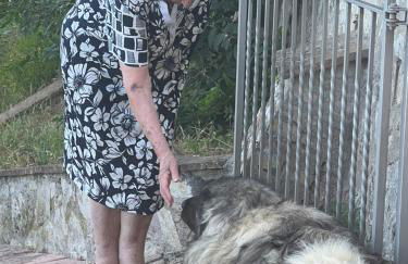 SetterHouseAgriHotel - Photo 14