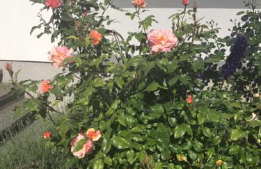 Apartment mit Dachloggia - Foto 17