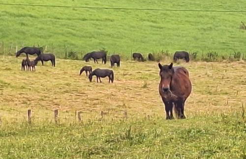 Casa Rural Areano - Foto 114