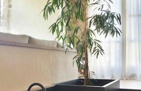 Cabana La Roca - Foto 15