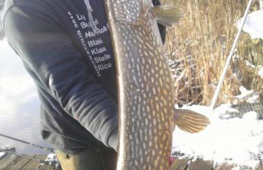 Haus 'am Selliner See-wismar' - Foto 30