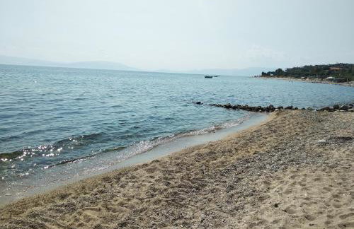 Ananias House - Foto 64