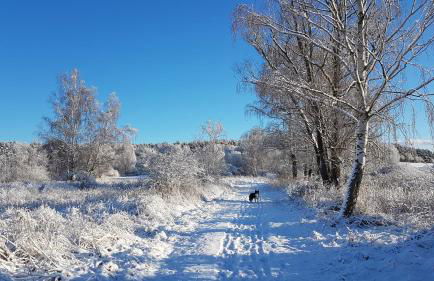 KüstenKind - Foto 21