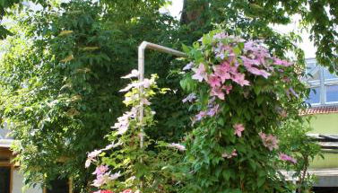 Herrenhof - Foto 5, Garden, Garden view