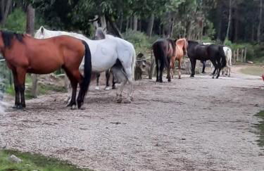 Silencio y tranquilidad - Foto 10