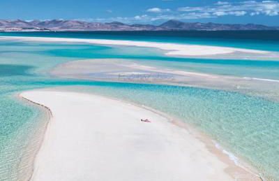 Paris Lovely - Photo 69