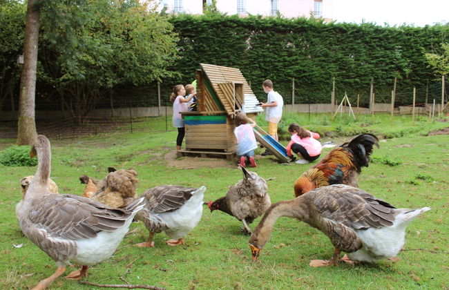 VVF Normandie Forges-les-Eaux - Foto 33