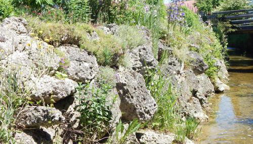 Ferienwohnung Am Feldbach - Photo 4