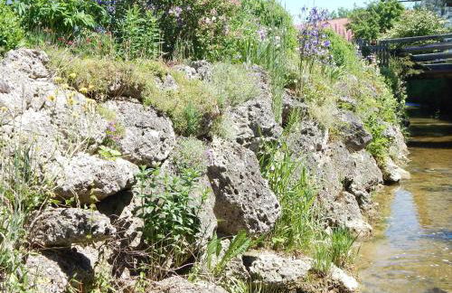Ferienwohnung Am Feldbach - Foto 4