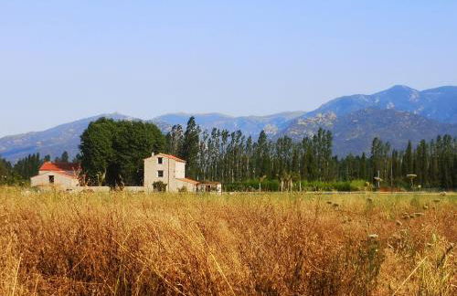 Mas Puig Grand Gîte - Foto 39