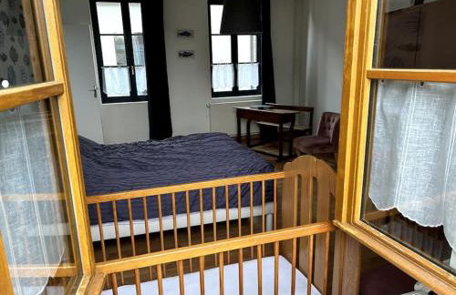 La Muche Valéricaine, coeur de ville, jardin - Foto 17