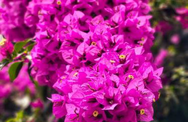 Mala Kuća - Photo 25