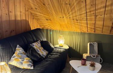 Le sauvage - Foto 38