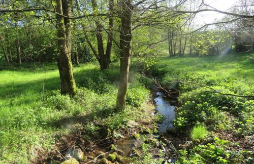 Ferienwohnung Marianne und Heinz - Foto 28
