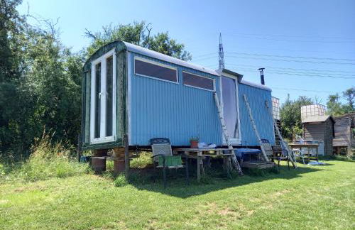 Freilandhof - Foto 42