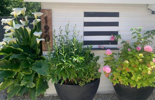 Cottage Le Cerf-volant - Foto 7