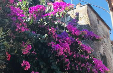 La casa nei carobi - Photo 62