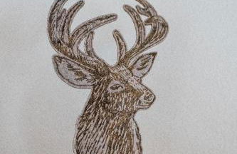 Bauernhof Süßhof - Foto 32