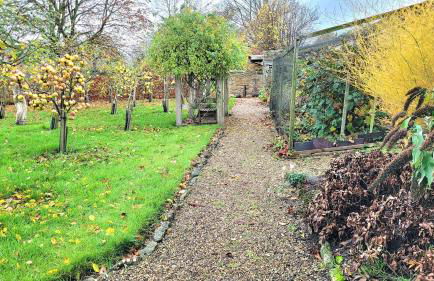 Plank Bridge Shepherds Hut in Orchard - Peaceful Escape for Two - Foto 23