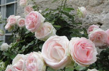 Demeure VERTEUILLAISE - Foto 34